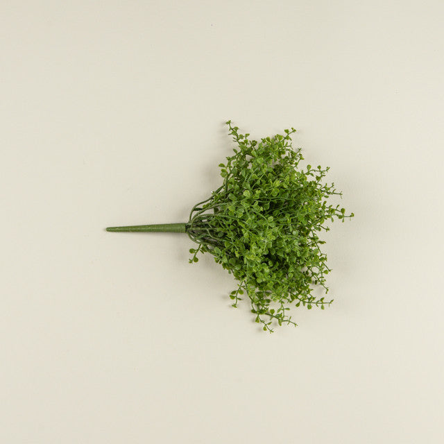 Baby Grass Bush