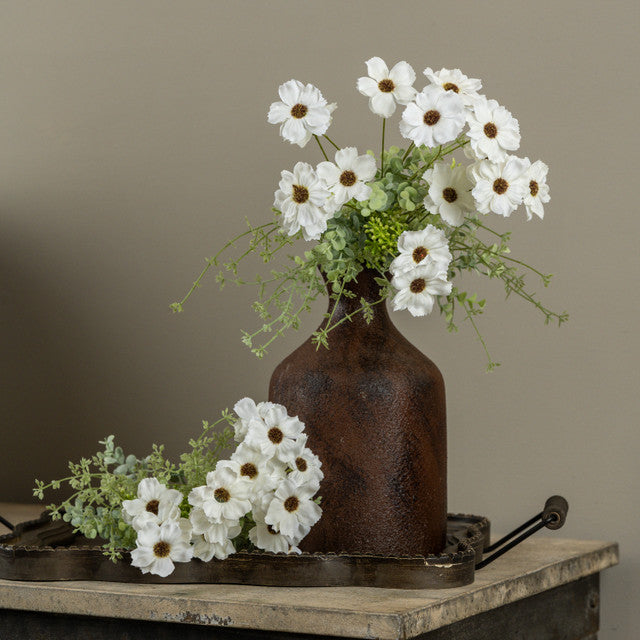 Cosmos Bush
