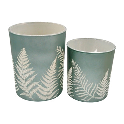 Fern Jar