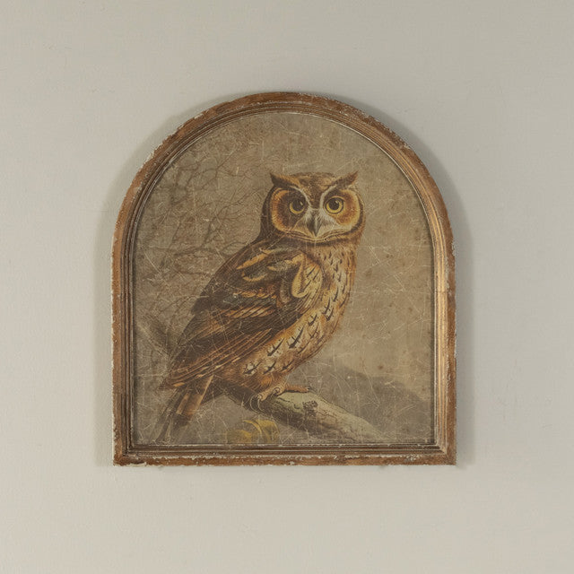 Great Horned Owl