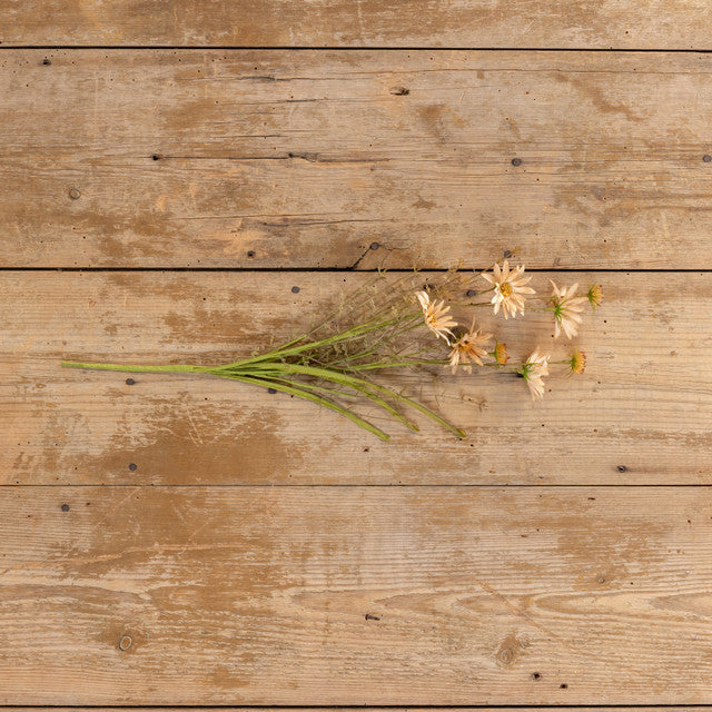 Apricot Wildflower Spray