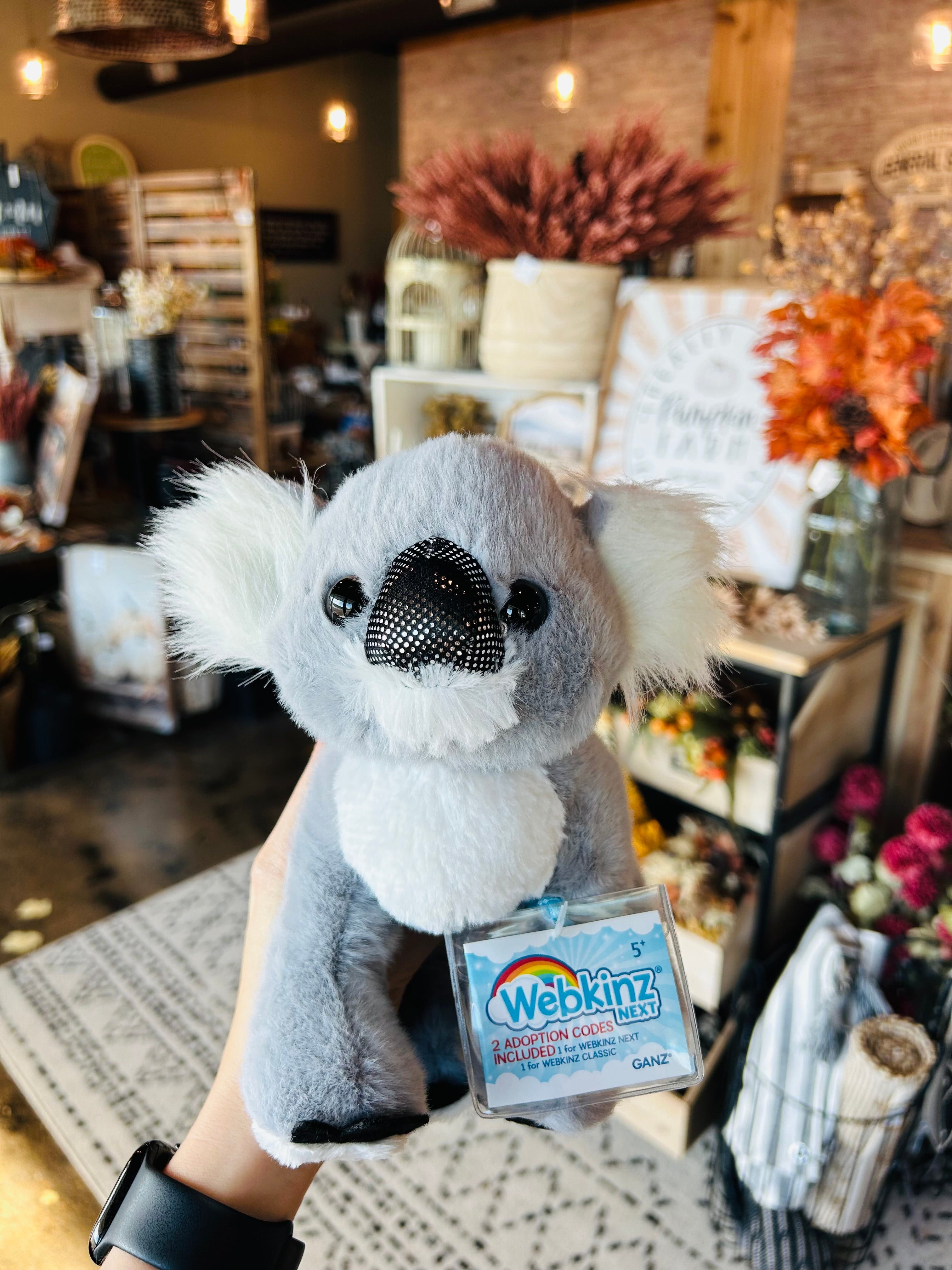 Webkinz – Jennie's Homeshed