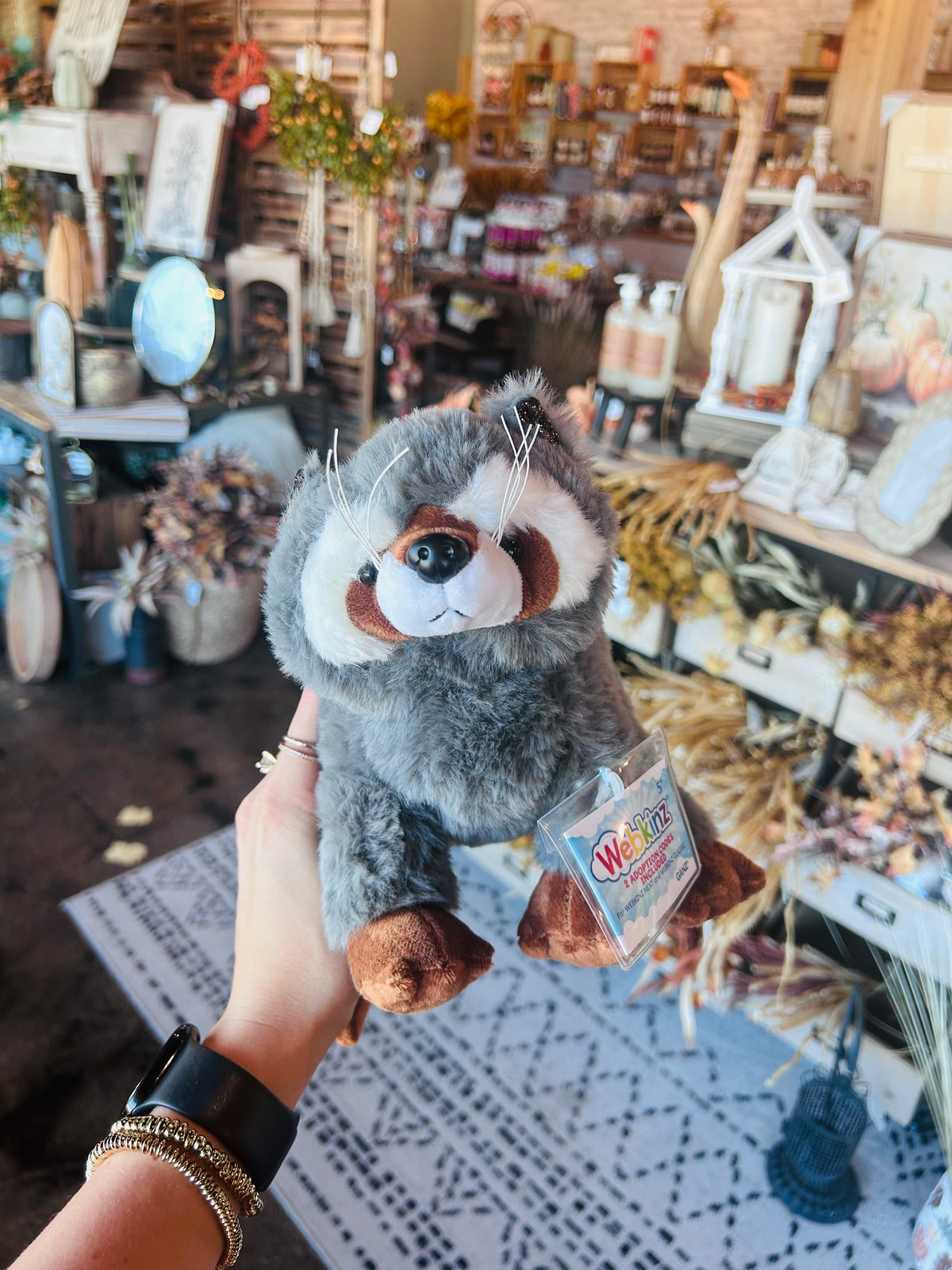 Webkinz
