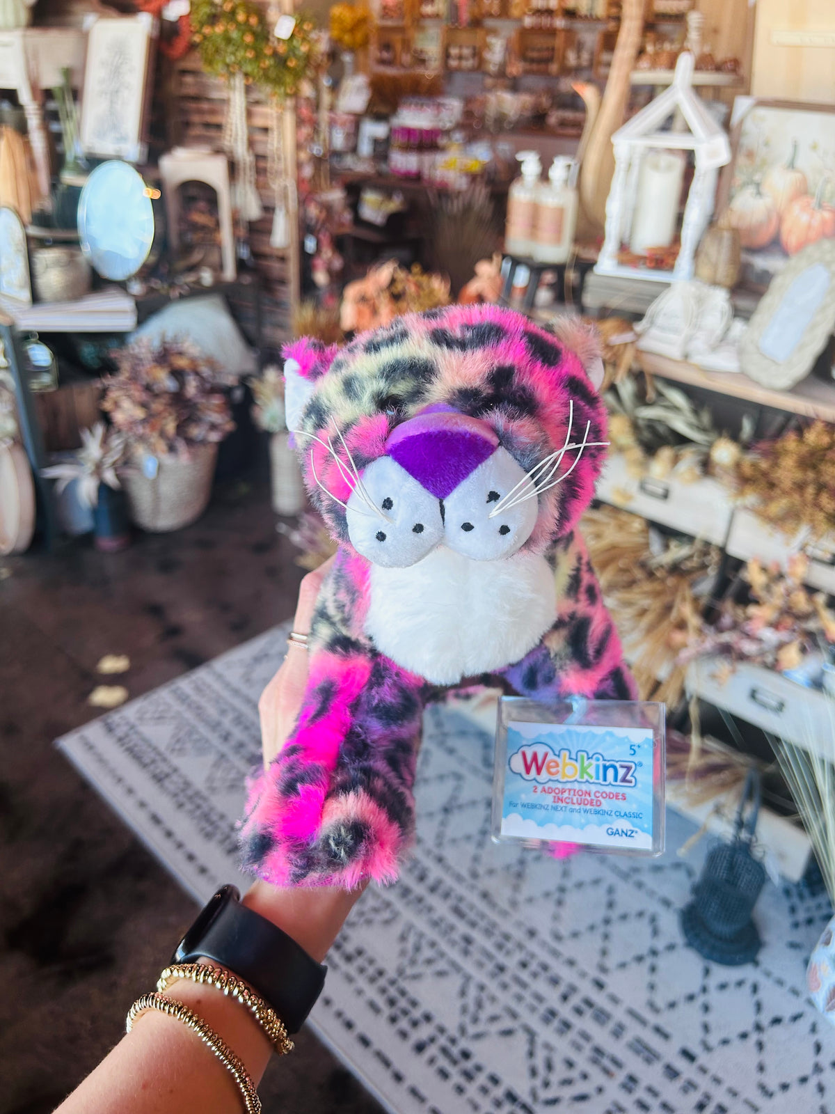 Webkinz