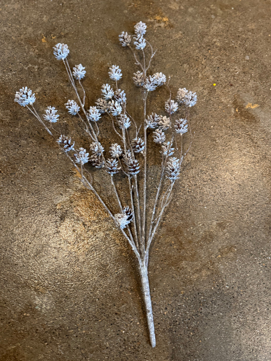 White Washed Pinecone Bush
