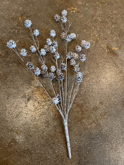 White Washed Pinecone Bush