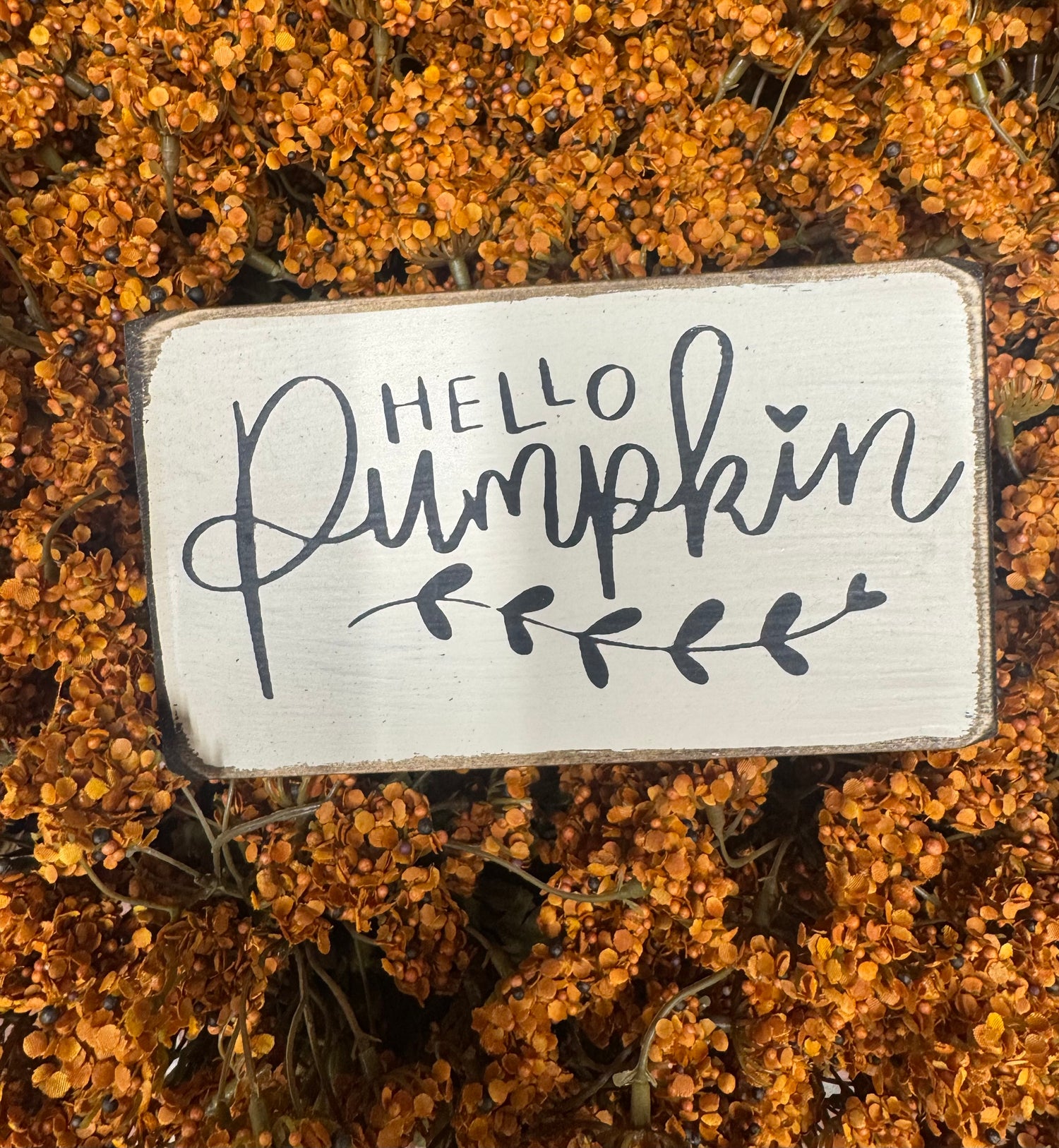 Hello Pumpkin