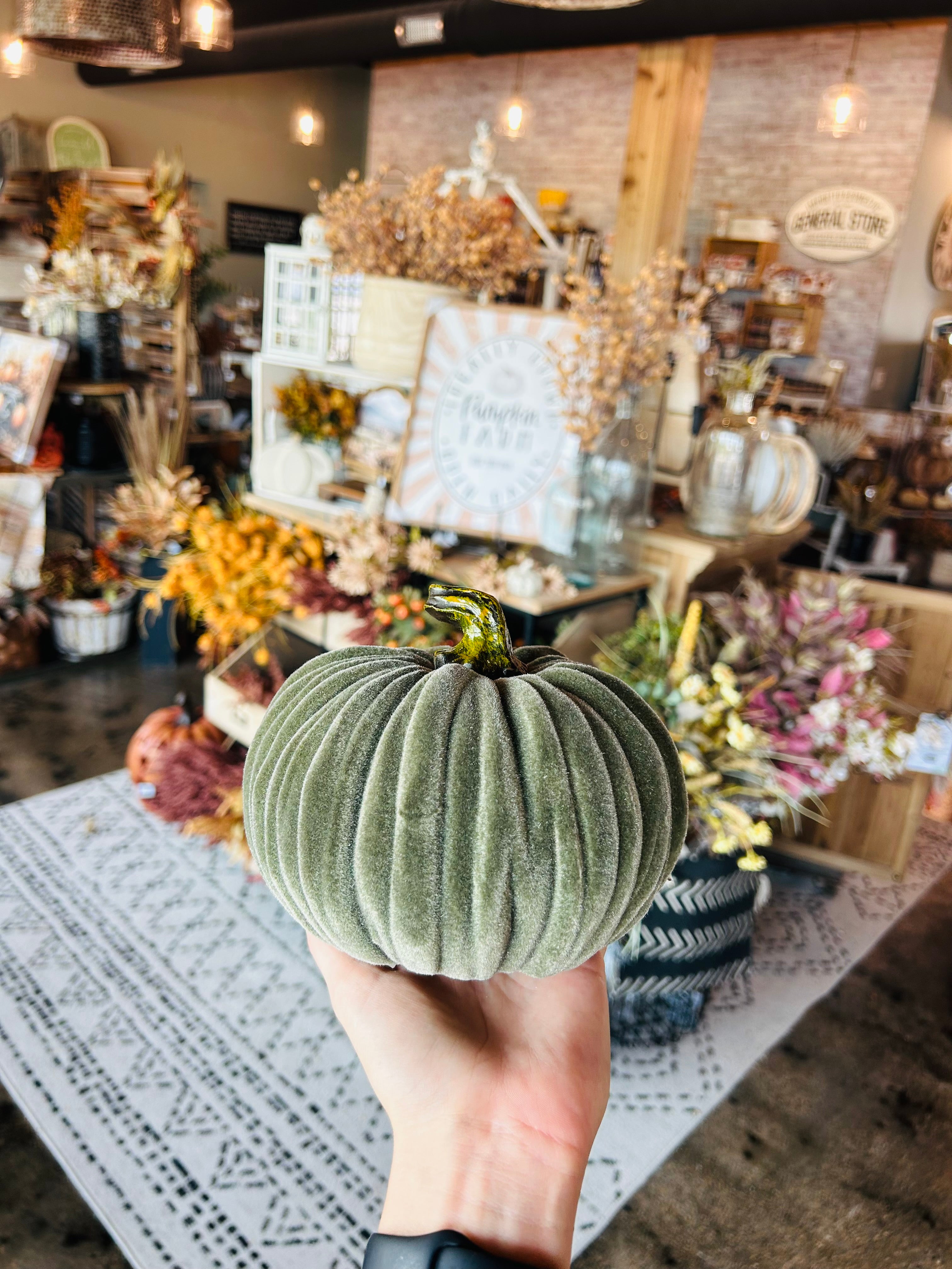 Dark Green Velvet Pumpkin