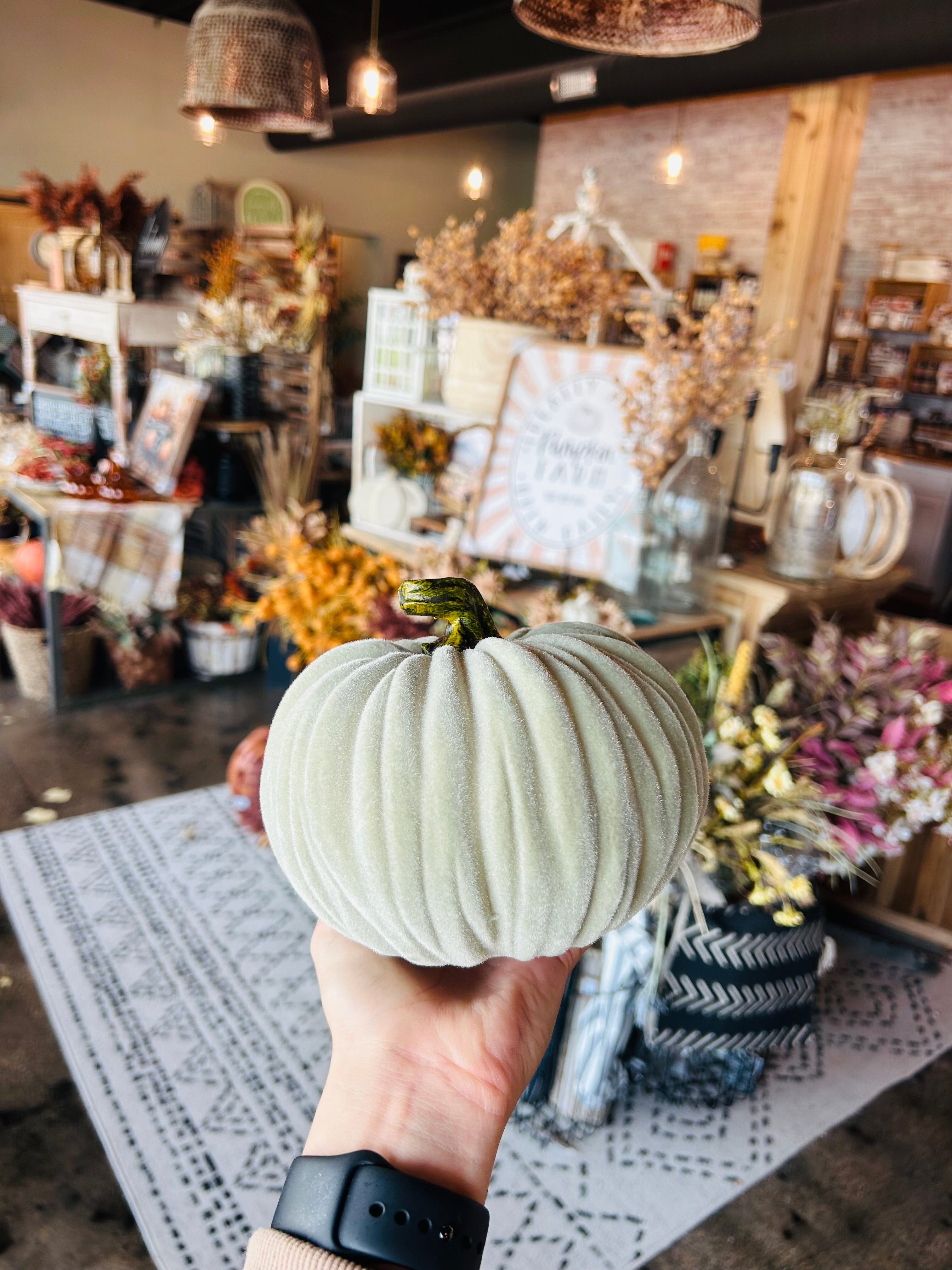 Mint Green Velvet Pumpkin
