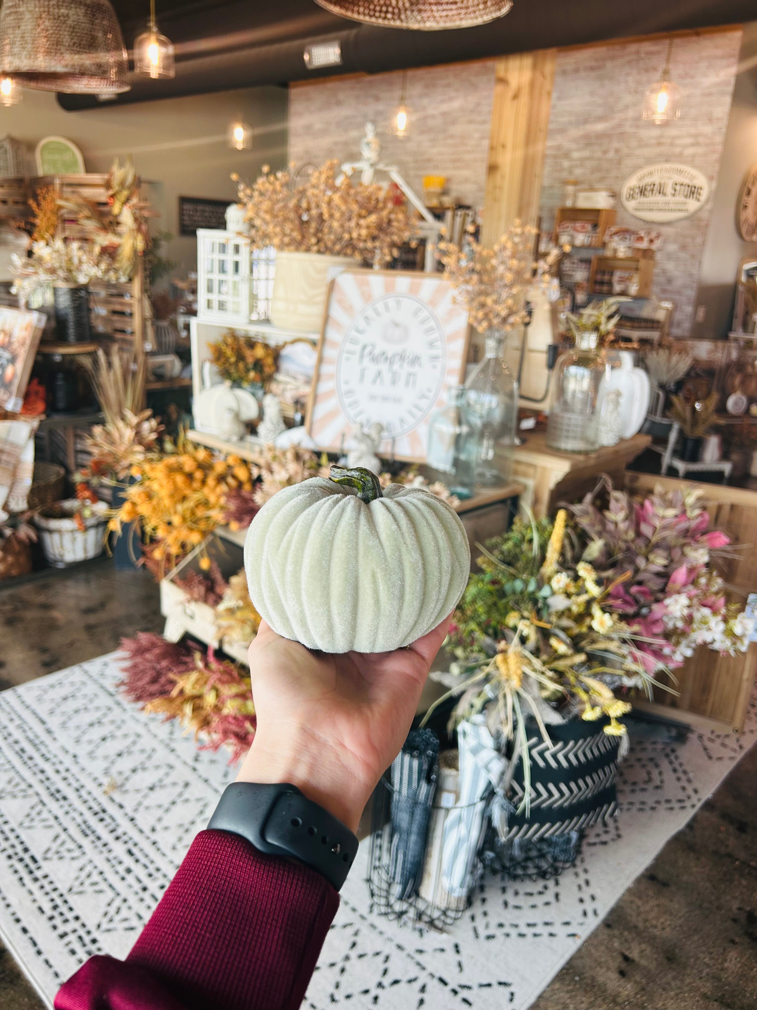 Mint Green Velvet Pumpkin