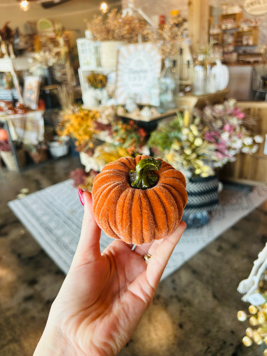 Orange Velvet Pumpkin