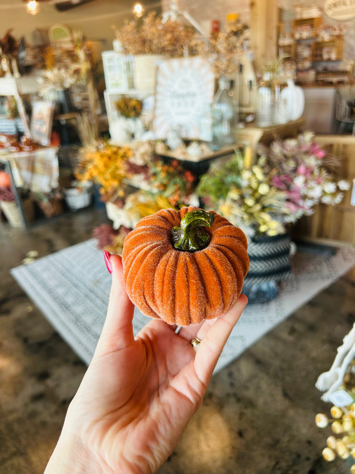 Orange Velvet Pumpkin