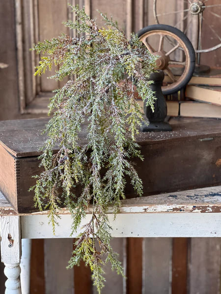 Snowy Prickly Pine Hanging