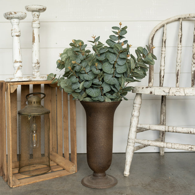 Dark Spiral Eucalyptus