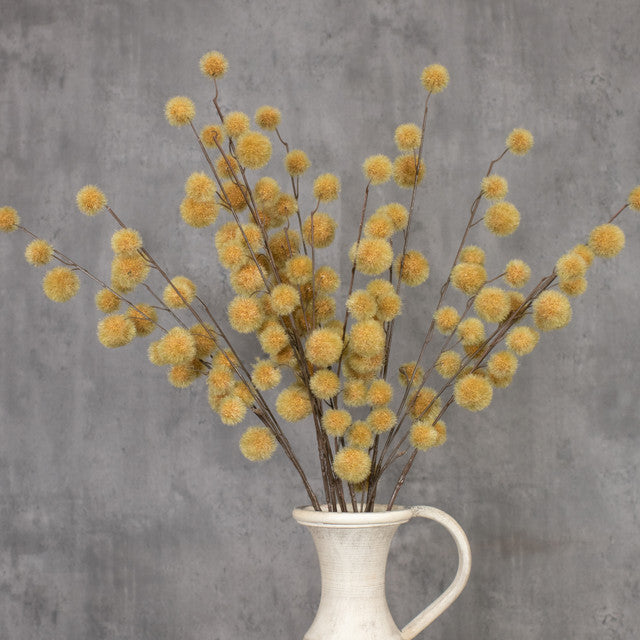 Mustard Globe Thistle