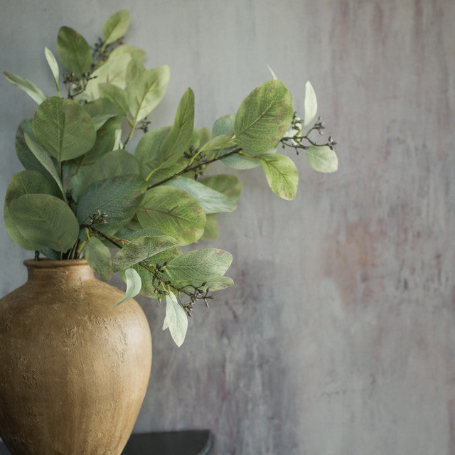 Green Eucalyptus Spray