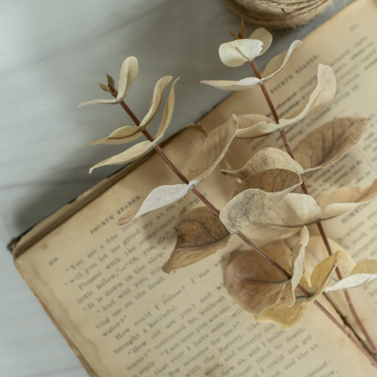 Pale Green Eucalyptus