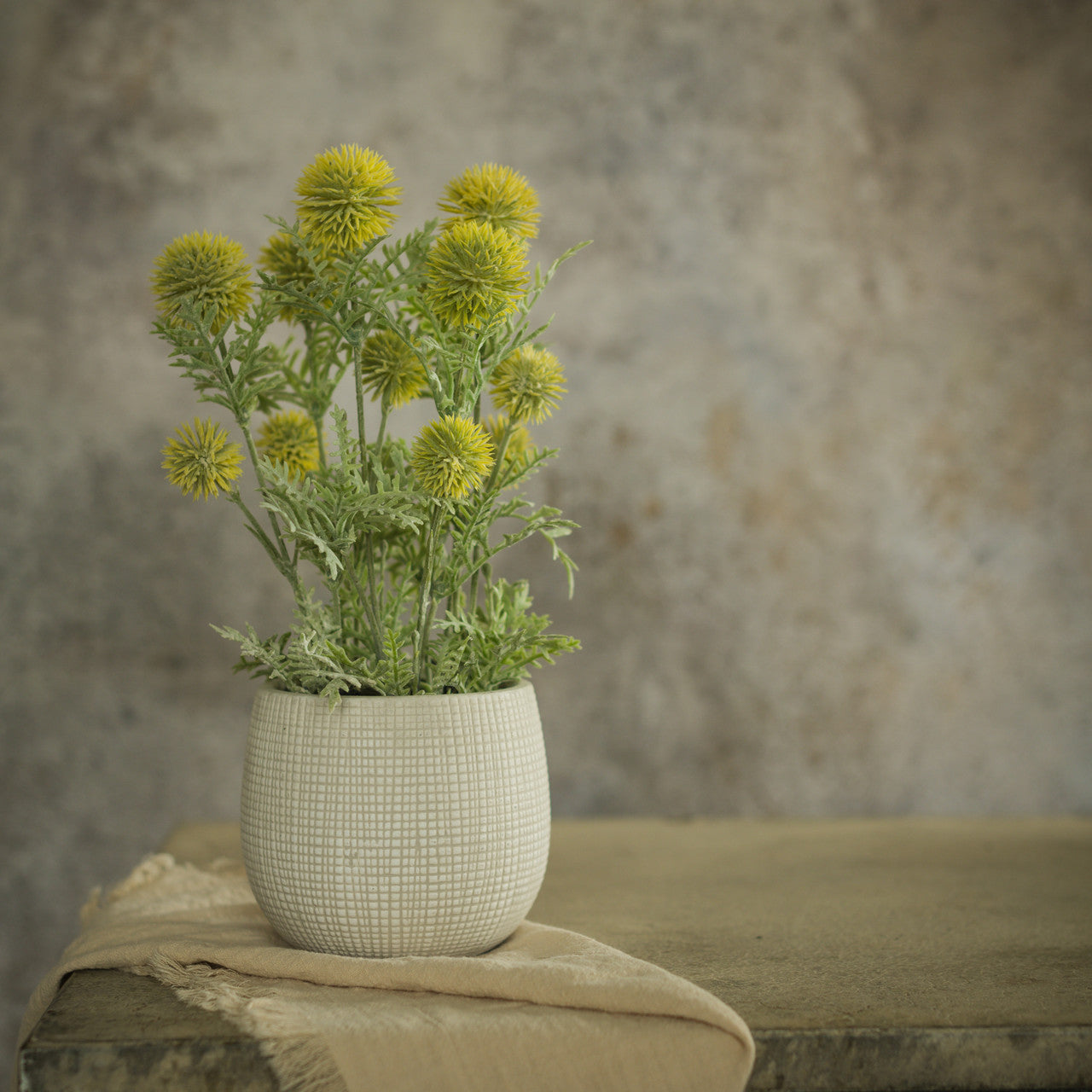 Yellow Onion Spray in Pot