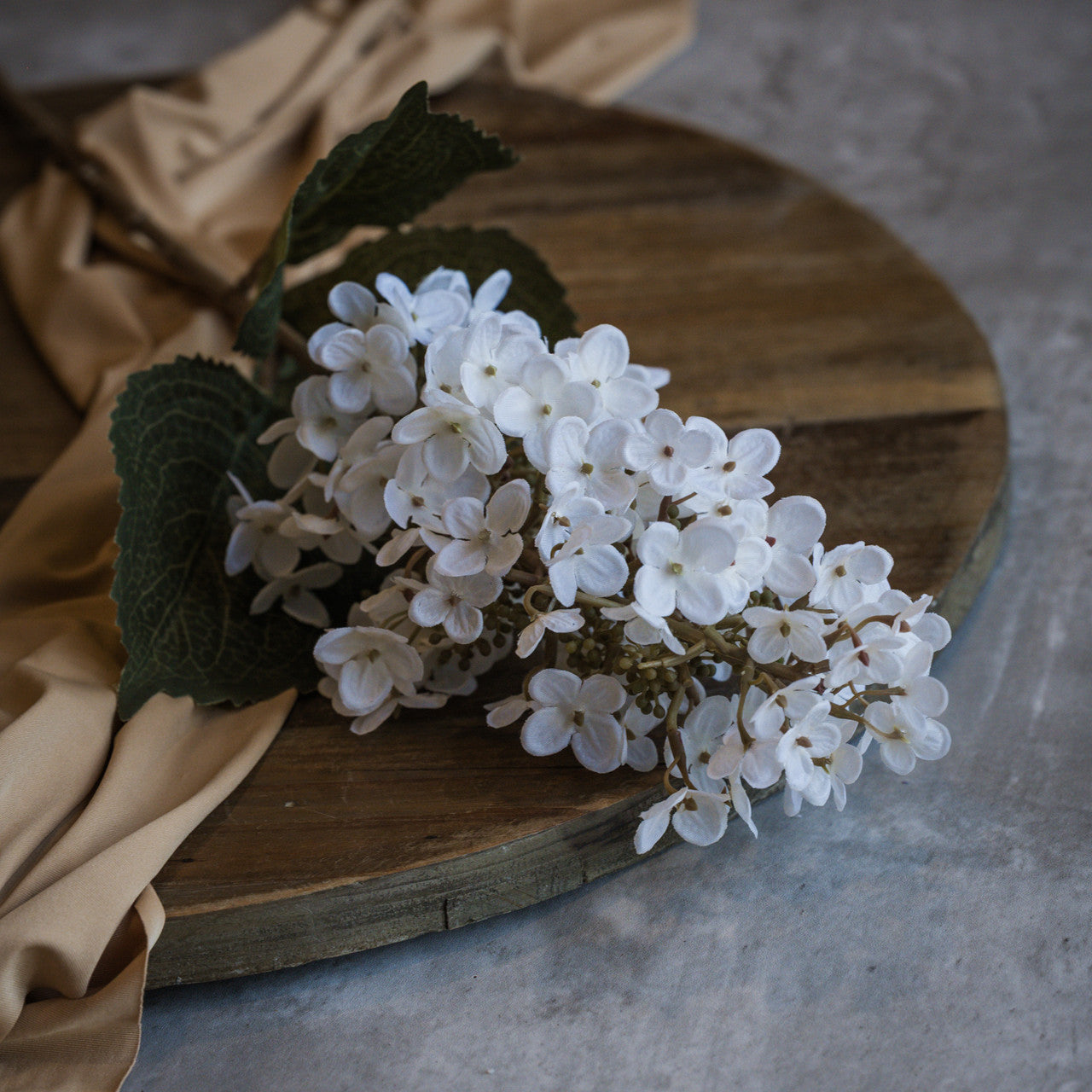 White Lilac Stem