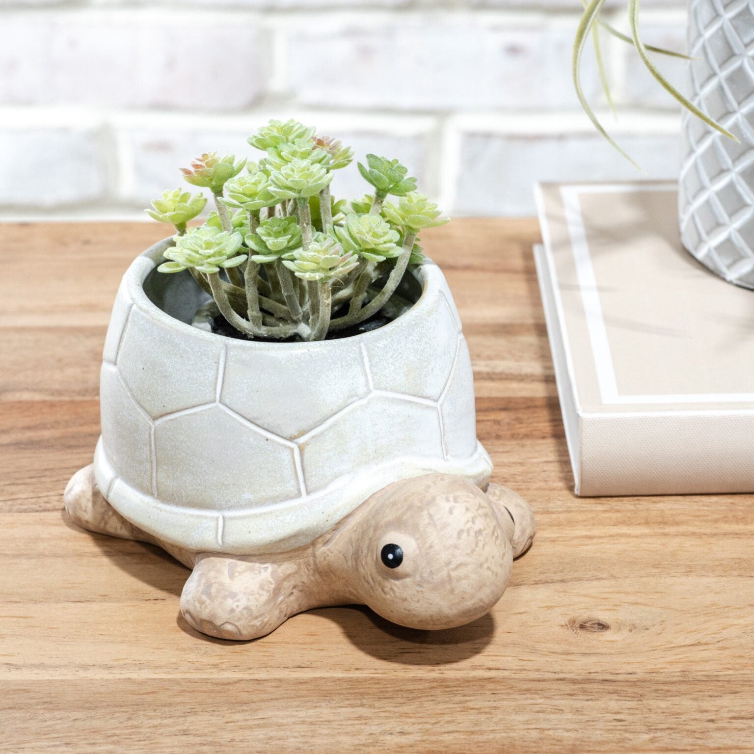 Turtle Planter