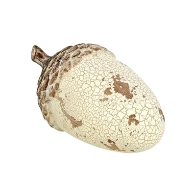 Mottled Acorn