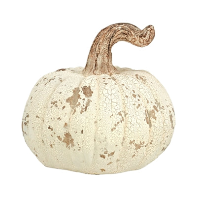 Mottled Pumpkin