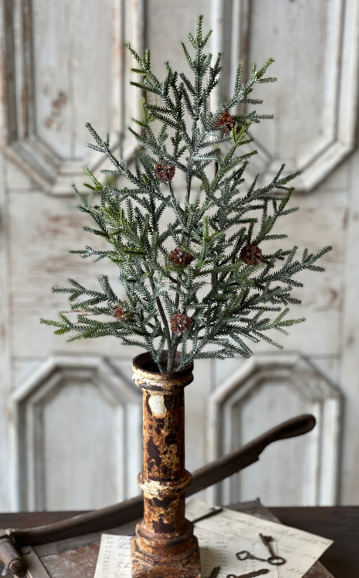 Wind Chill Juniper Spray