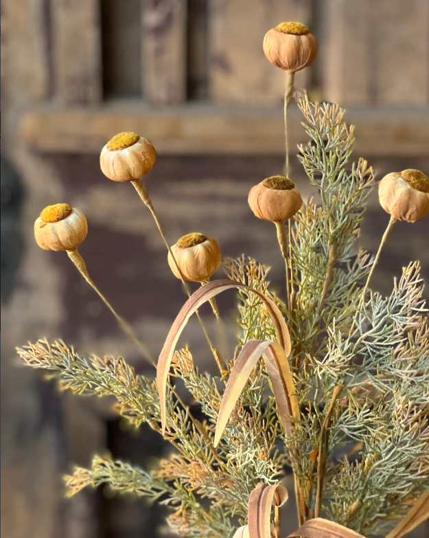 Poppy Pod Bush | 22&quot; | Mello