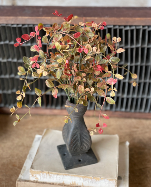 Bog Pimpernel Bush | Red | 12&quot;