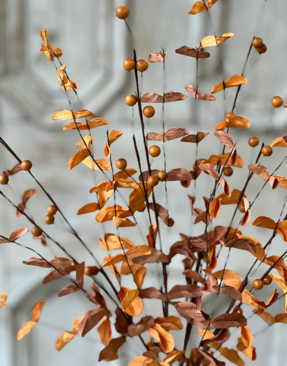 Morse Berry Bush