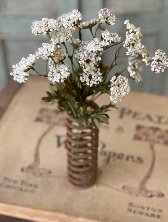 Fennel Flower Bundle