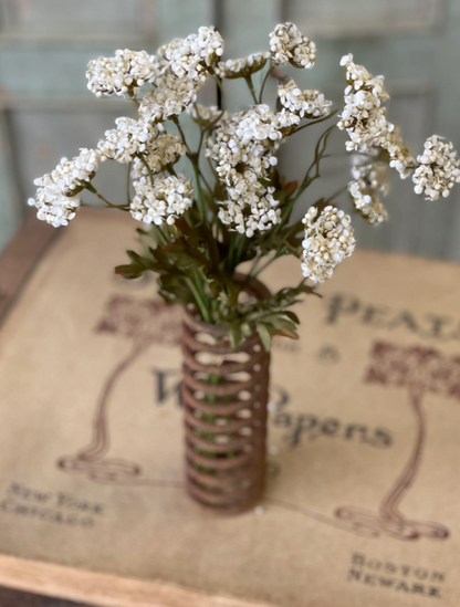Fennel Flower Bundle