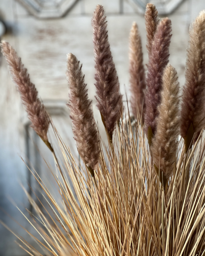 Catty Cattails Pot