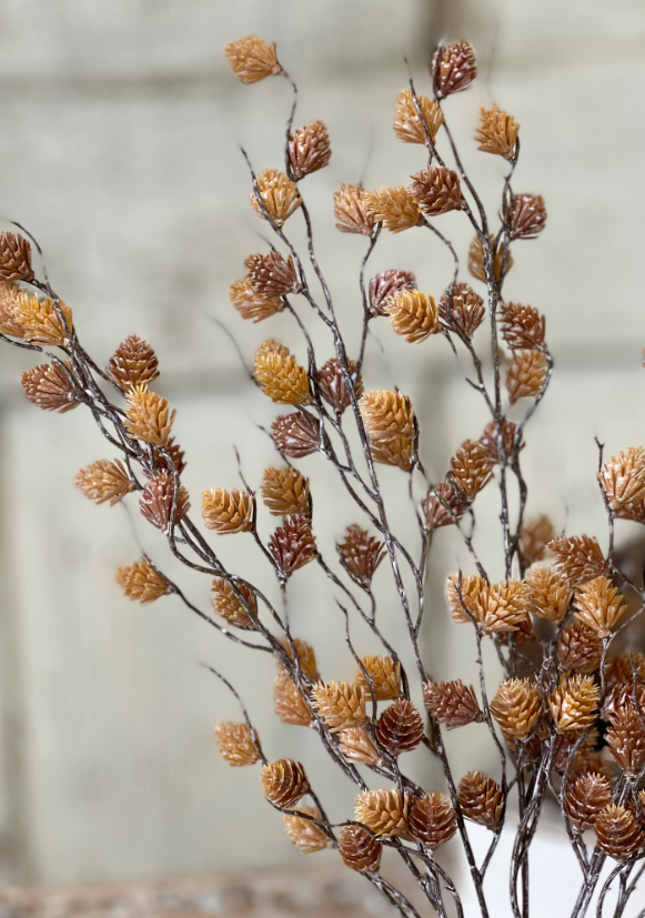 Spur Seed Bush | 18&quot; | Sandalwood