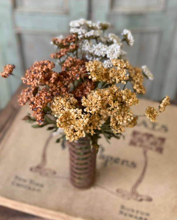 Fennel Flower Bundle