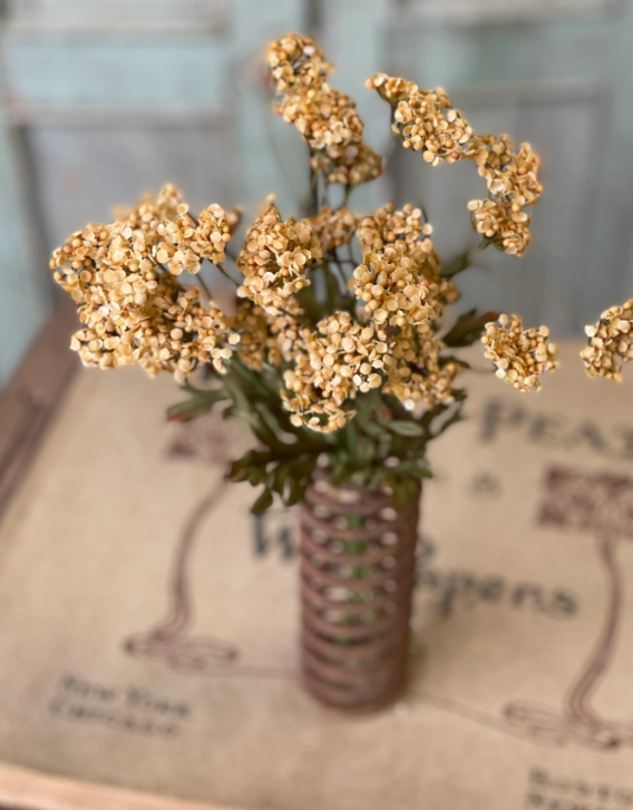 Fennel Flower Bundle