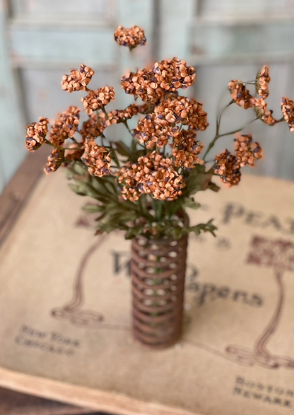 Fennel Flower Bundle