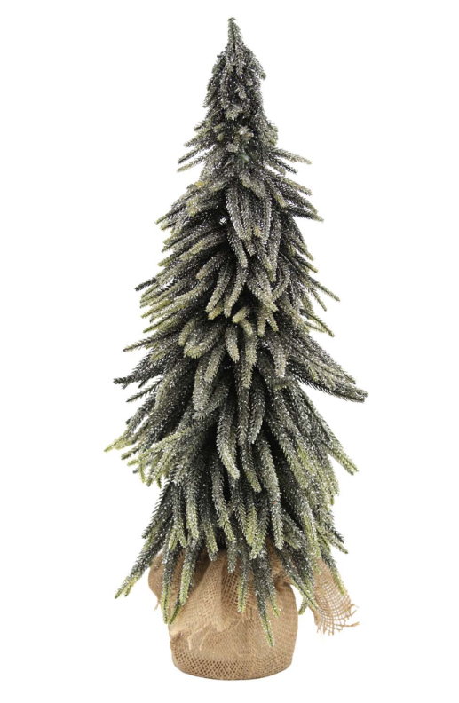 Golden Sparkle Spruce Tree