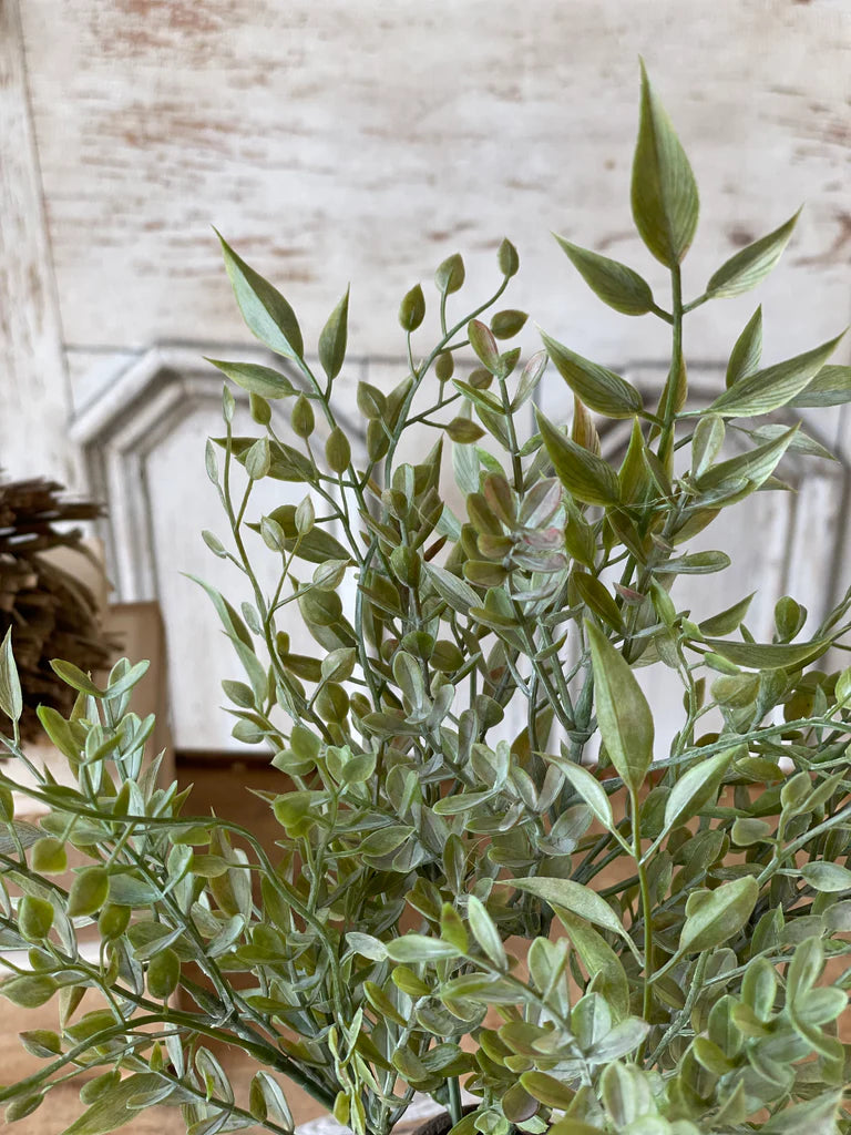 Mixed Sage Bush