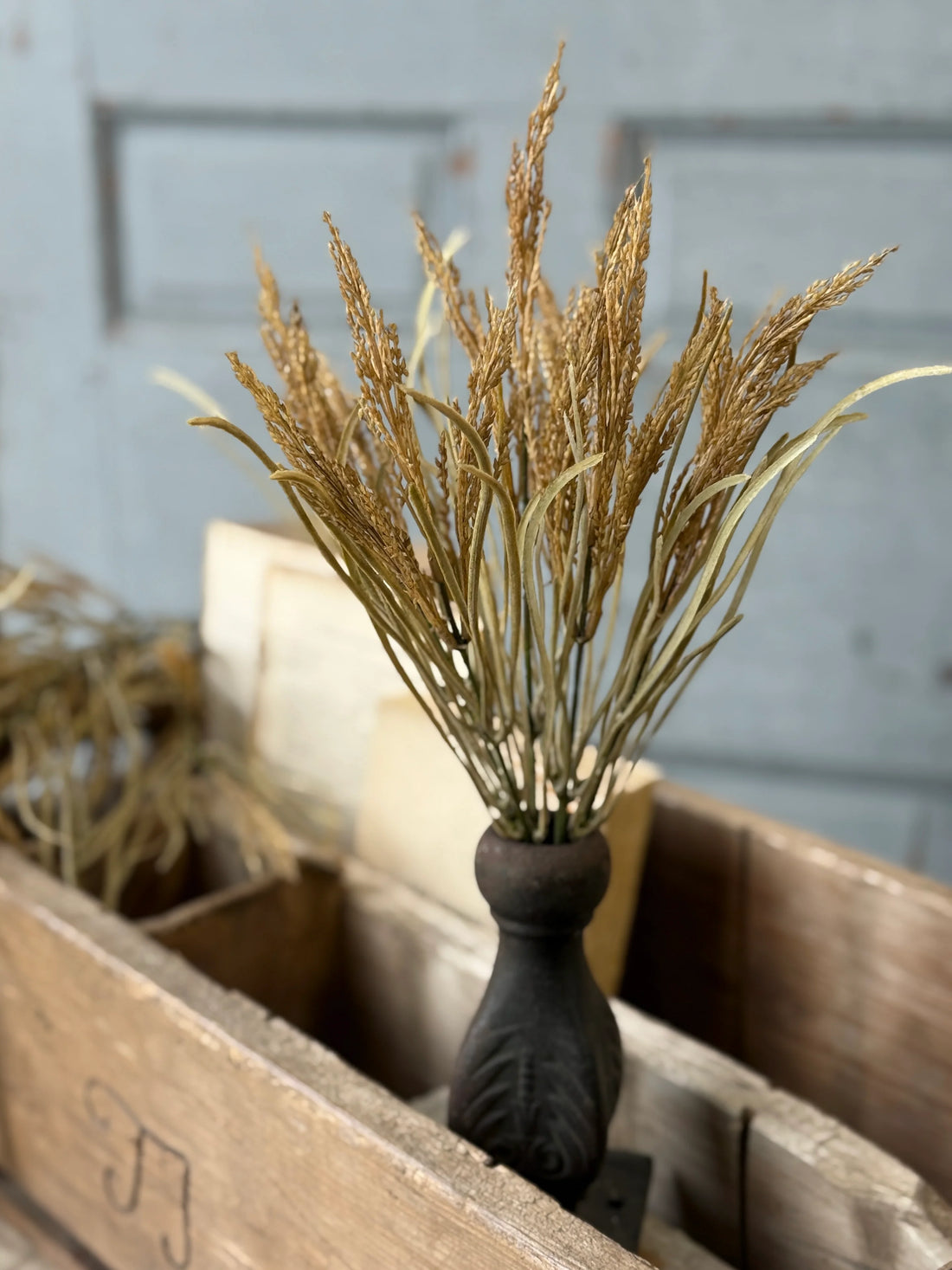 Wheaten Waves Bush
