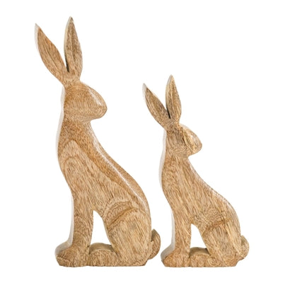 Backward-Looking Bunny