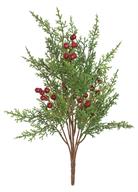Soft Cedar w/ Berries