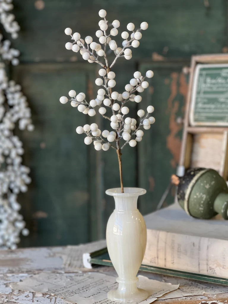 Icy Snowdrop Berry Pick