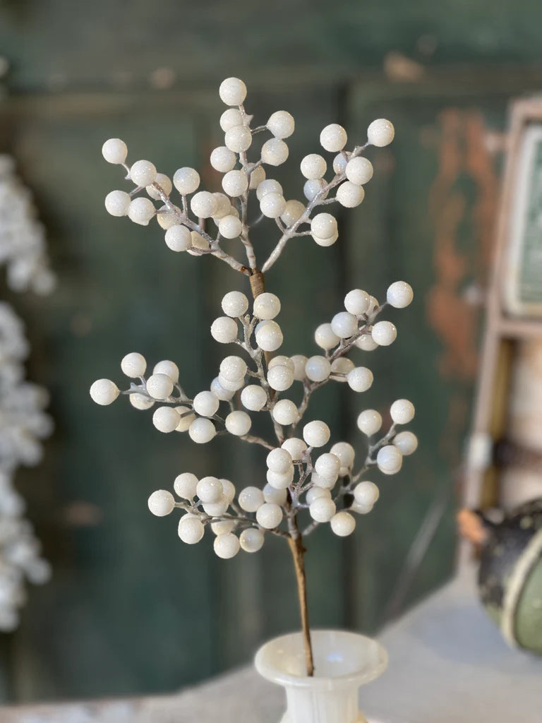 Icy Snowdrop Berry Pick