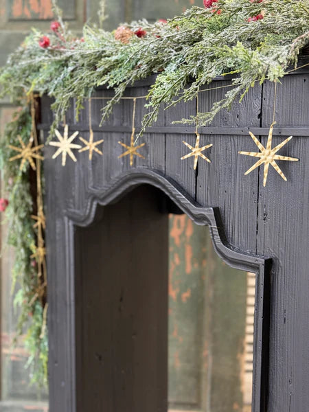 Wandering Star Garland