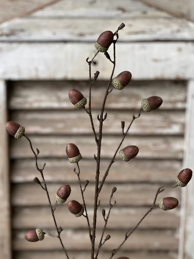 Oakview Acorn Spray