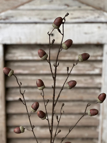 Oakview Acorn Spray