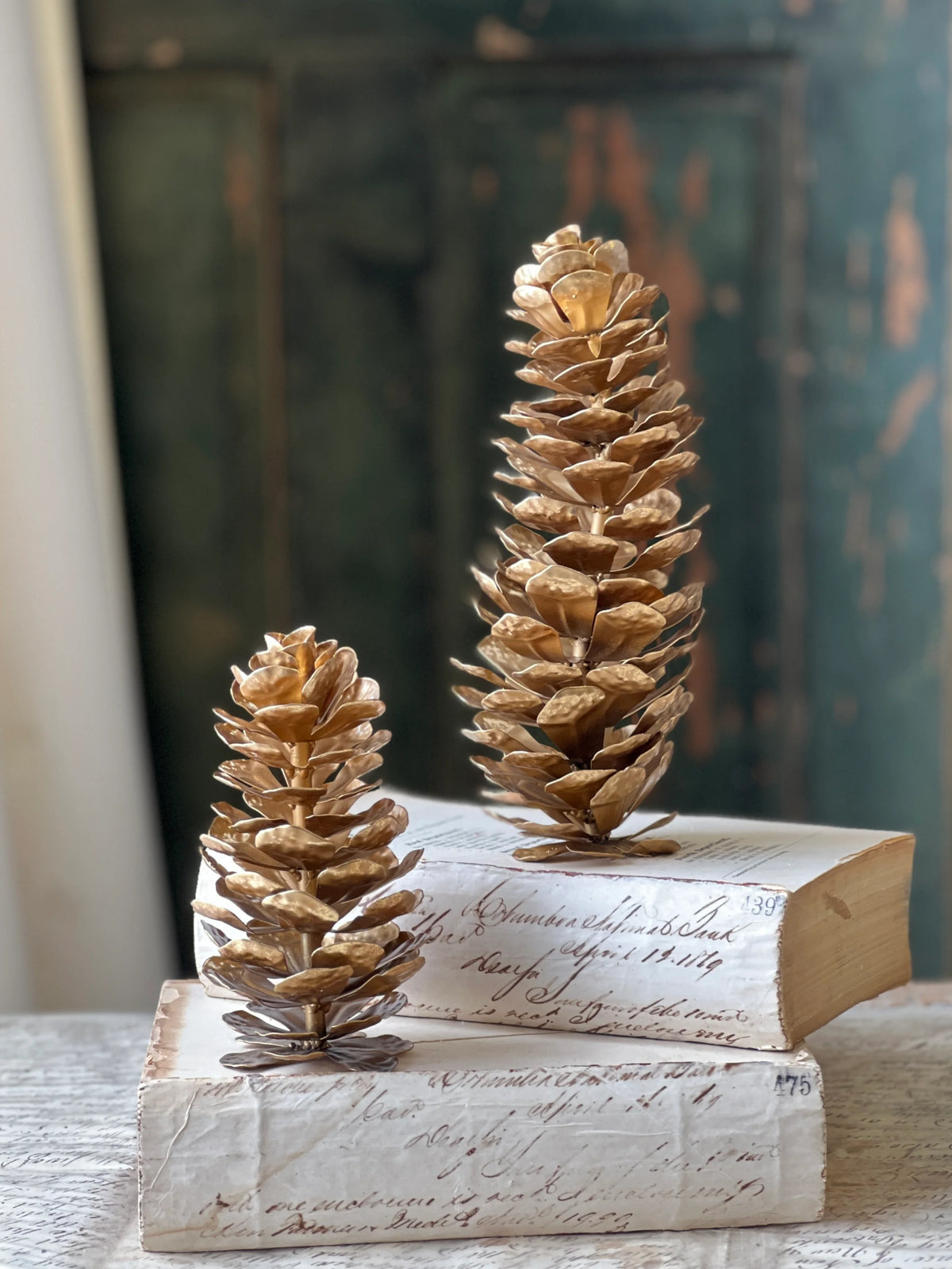 Epaulette Pinecone