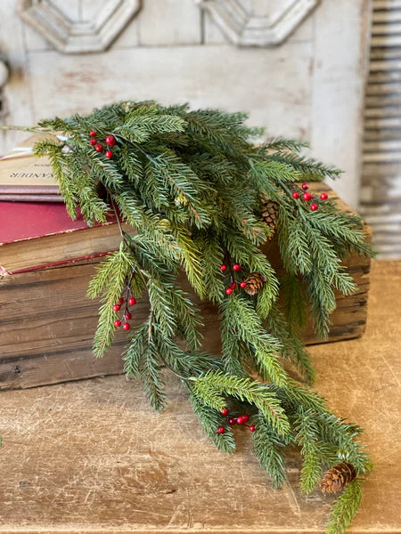 White Spruce w/ Berries Hanging