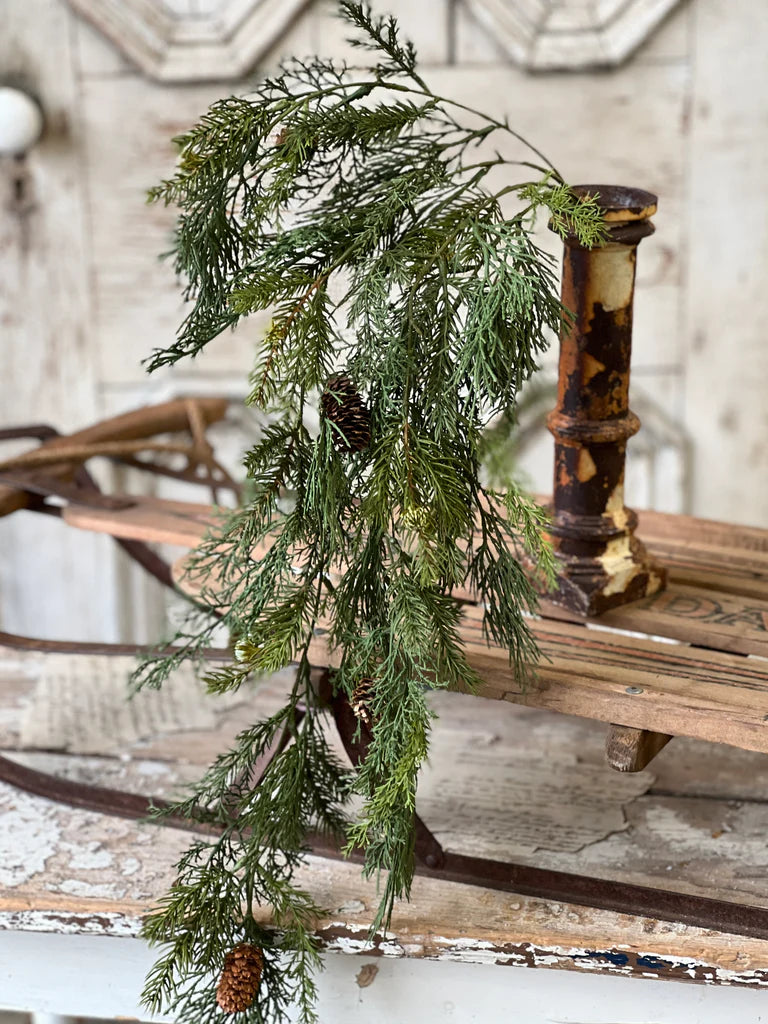 Telluride Spruce Hanging